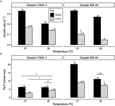 Proteomics analysis reveals differential acclimation of coastal and oceanic Synechococcus to climate warming and iron limitation